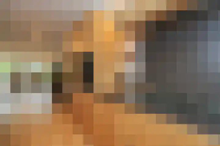 Dassenburcht 51 Cuijk thumbnail 13
