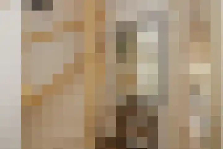 Dassenburcht 51 Cuijk thumbnail 14