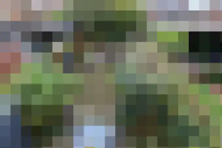 Dassenburcht 51 Cuijk thumbnail 18