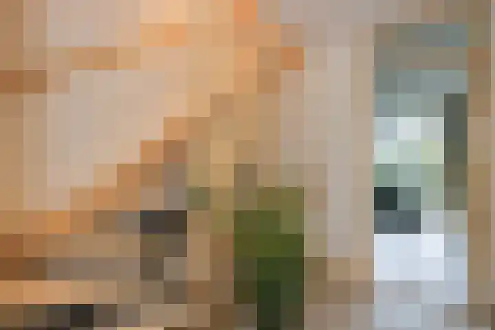 Dassenburcht 51 Cuijk thumbnail 27