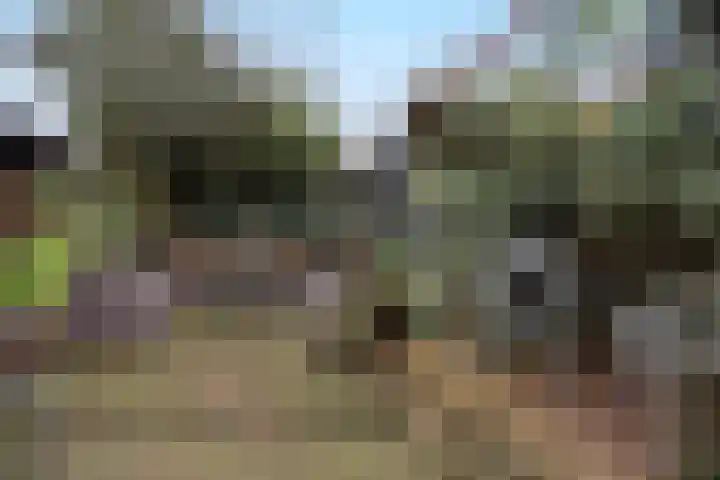 Dassenburcht 51 Cuijk thumbnail 40