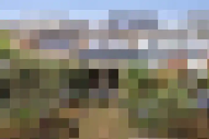 Dassenburcht 51 Cuijk thumbnail 41