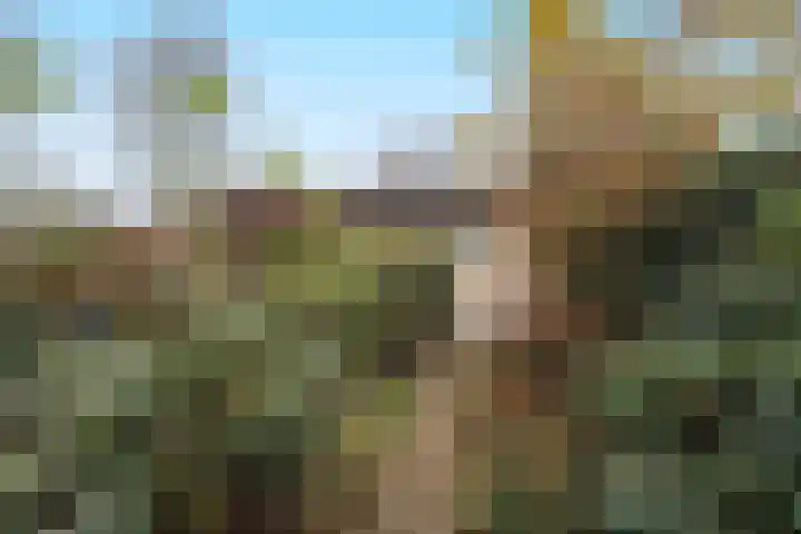 Dassenburcht 51 Cuijk thumbnail 43