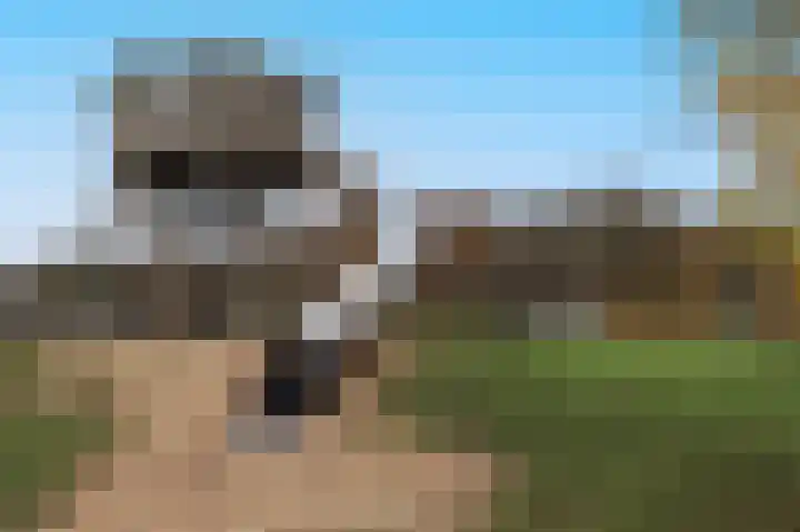 Dassenburcht 51 Cuijk thumbnail 49