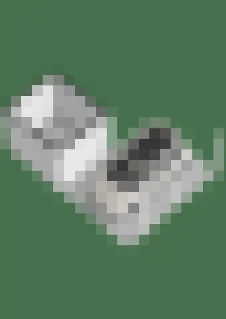 Dassenburcht 51 Cuijk thumbnail 58