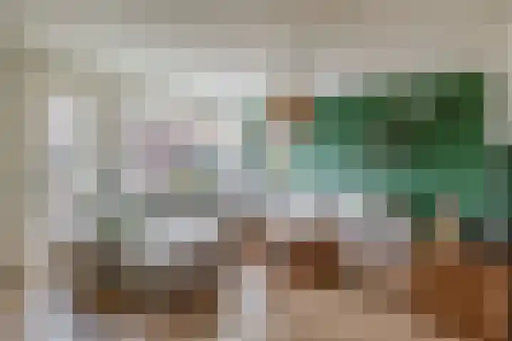 Dassenburcht 52 Muntendam thumbnail 10
