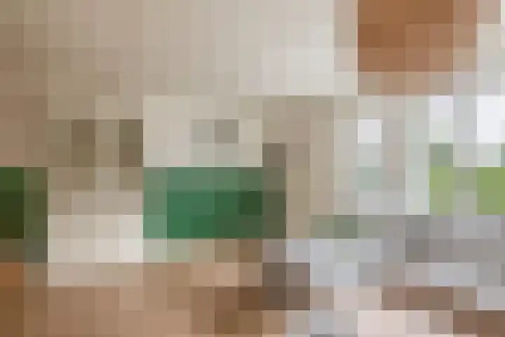 Dassenburcht 52 Muntendam thumbnail 11