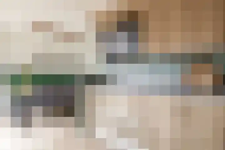 Dassenburcht 52 Muntendam thumbnail 15