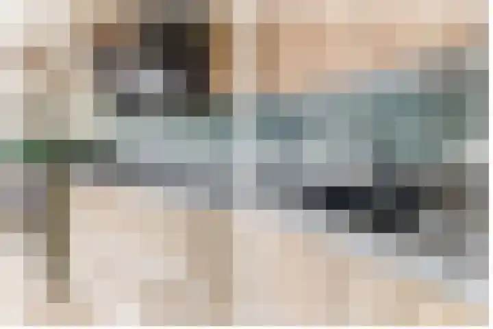 Dassenburcht 52 Muntendam thumbnail 16