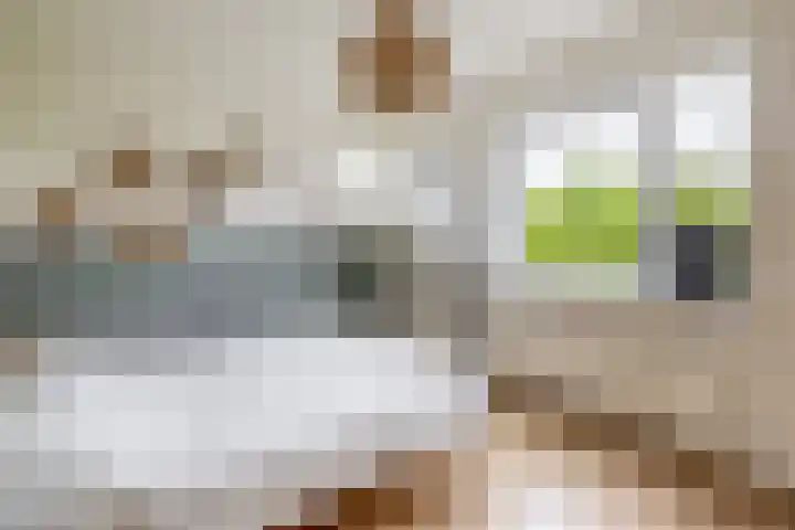 Dassenburcht 52 Muntendam thumbnail 20