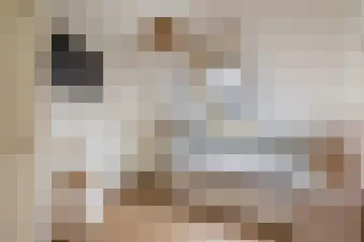 Dassenburcht 52 Muntendam thumbnail 23