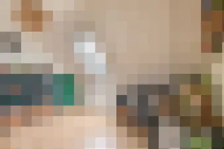 Dassenburcht 52 Muntendam thumbnail 27