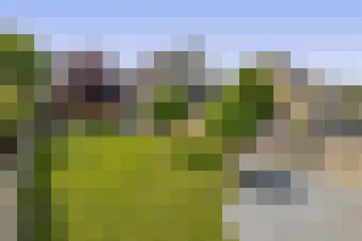 Dassenburcht 52 Muntendam thumbnail 29
