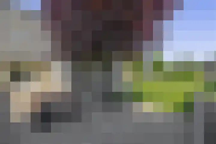 Dassenburcht 52 Muntendam thumbnail 30