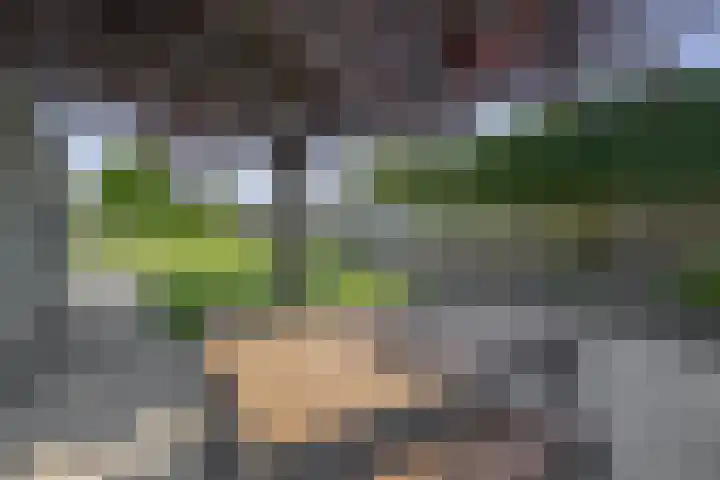 Dassenburcht 52 Muntendam thumbnail 31