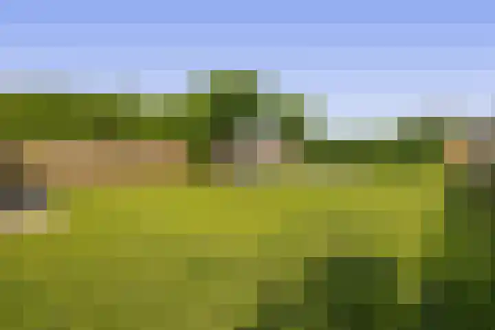 Dassenburcht 52 Muntendam thumbnail 32