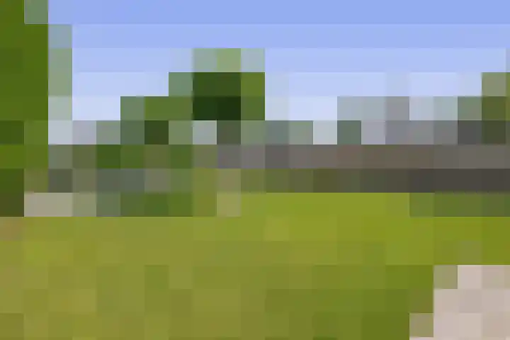 Dassenburcht 52 Muntendam thumbnail 33