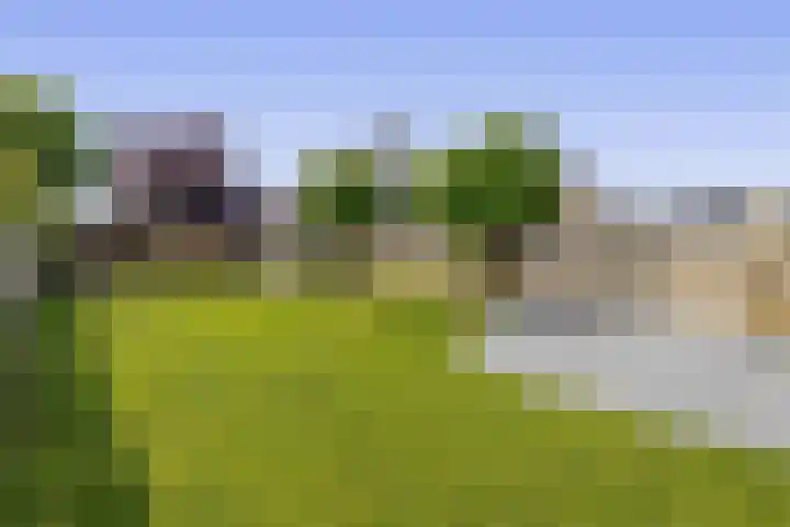 Dassenburcht 52 Muntendam thumbnail 34