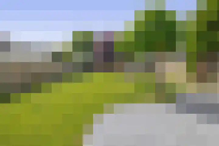 Dassenburcht 52 Muntendam thumbnail 35