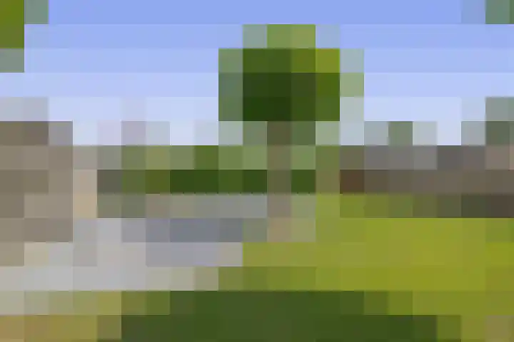 Dassenburcht 52 Muntendam thumbnail 36