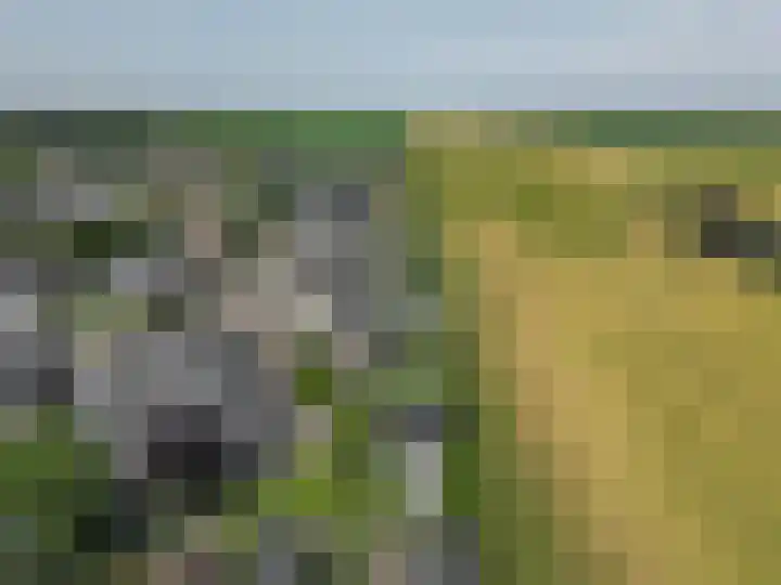 Dassenburcht 52 Muntendam thumbnail 38