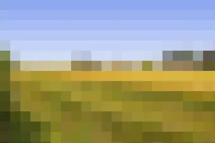 Dassenburcht 52 Muntendam thumbnail 39