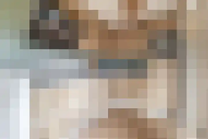 Dassenburcht 52 Muntendam thumbnail 4