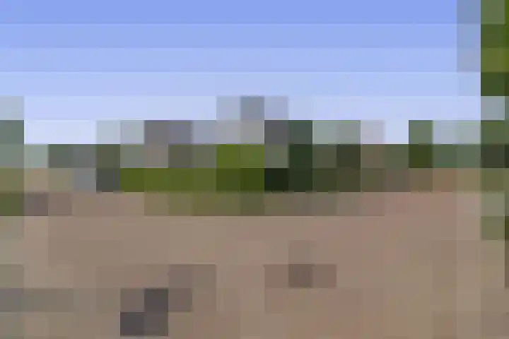 Dassenburcht 52 Muntendam thumbnail 41