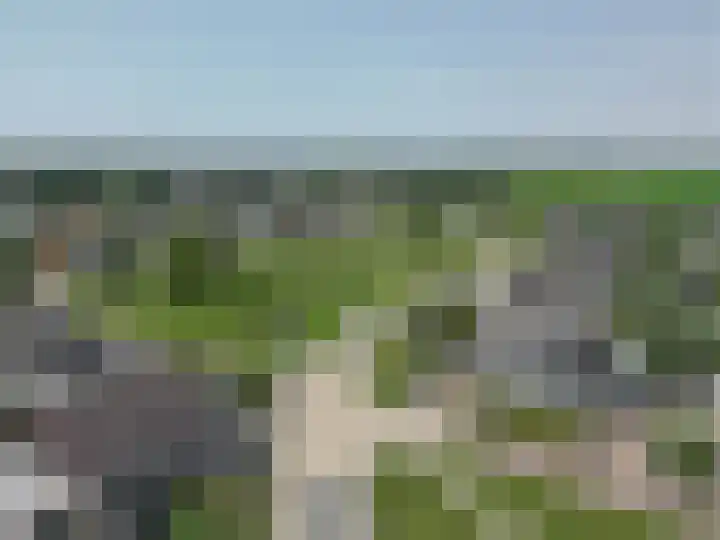 Dassenburcht 52 Muntendam thumbnail 42