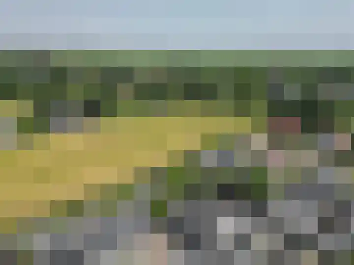 Dassenburcht 52 Muntendam thumbnail 43