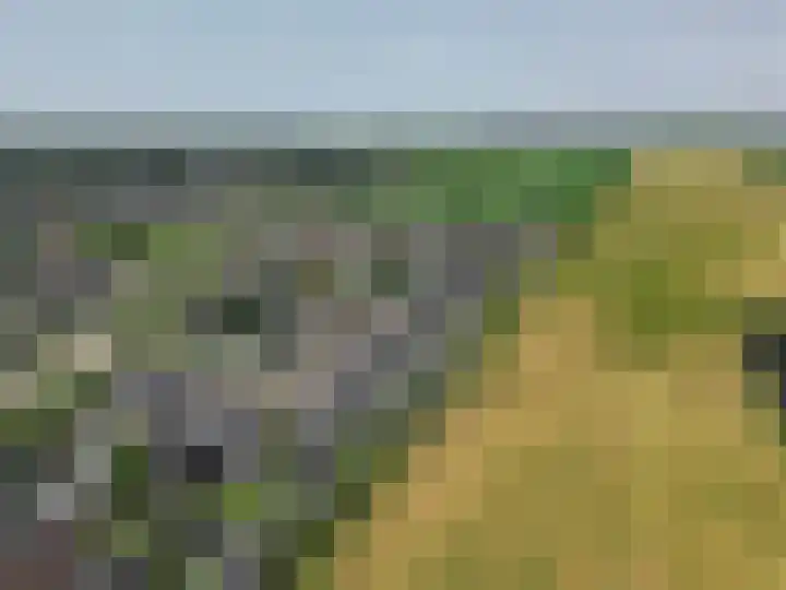 Dassenburcht 52 Muntendam thumbnail 44