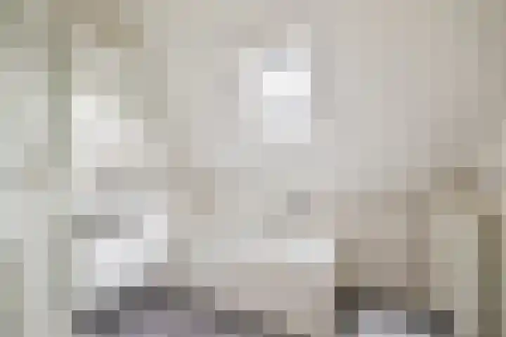 Dassenburcht 52 Muntendam thumbnail 5