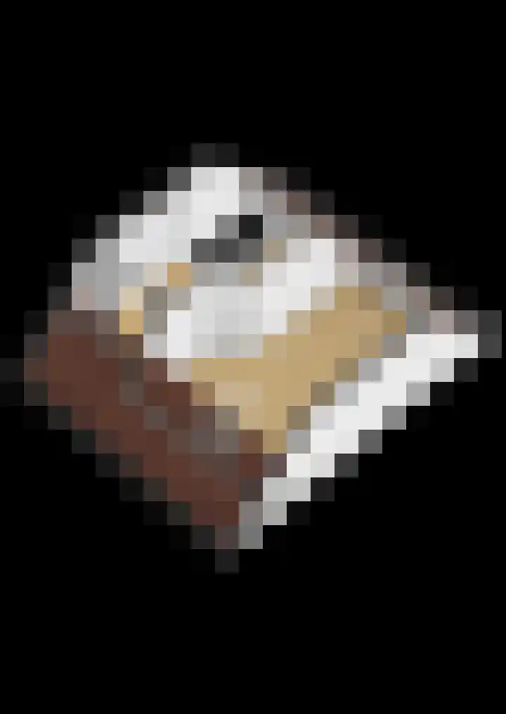 Dassenburcht 52 Muntendam thumbnail 50