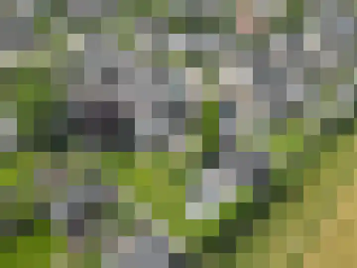 Dassenburcht 52 Muntendam thumbnail 53