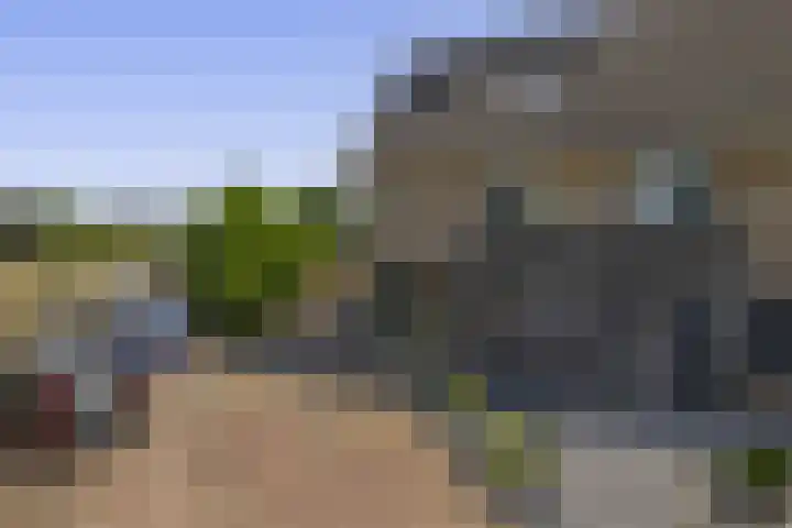Dassenburcht 52 Muntendam thumbnail 6