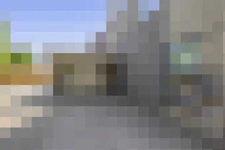 Dassenburcht 52 Muntendam thumbnail 7