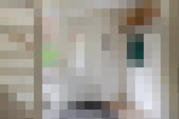 Dassenburcht 52 Muntendam thumbnail 8
