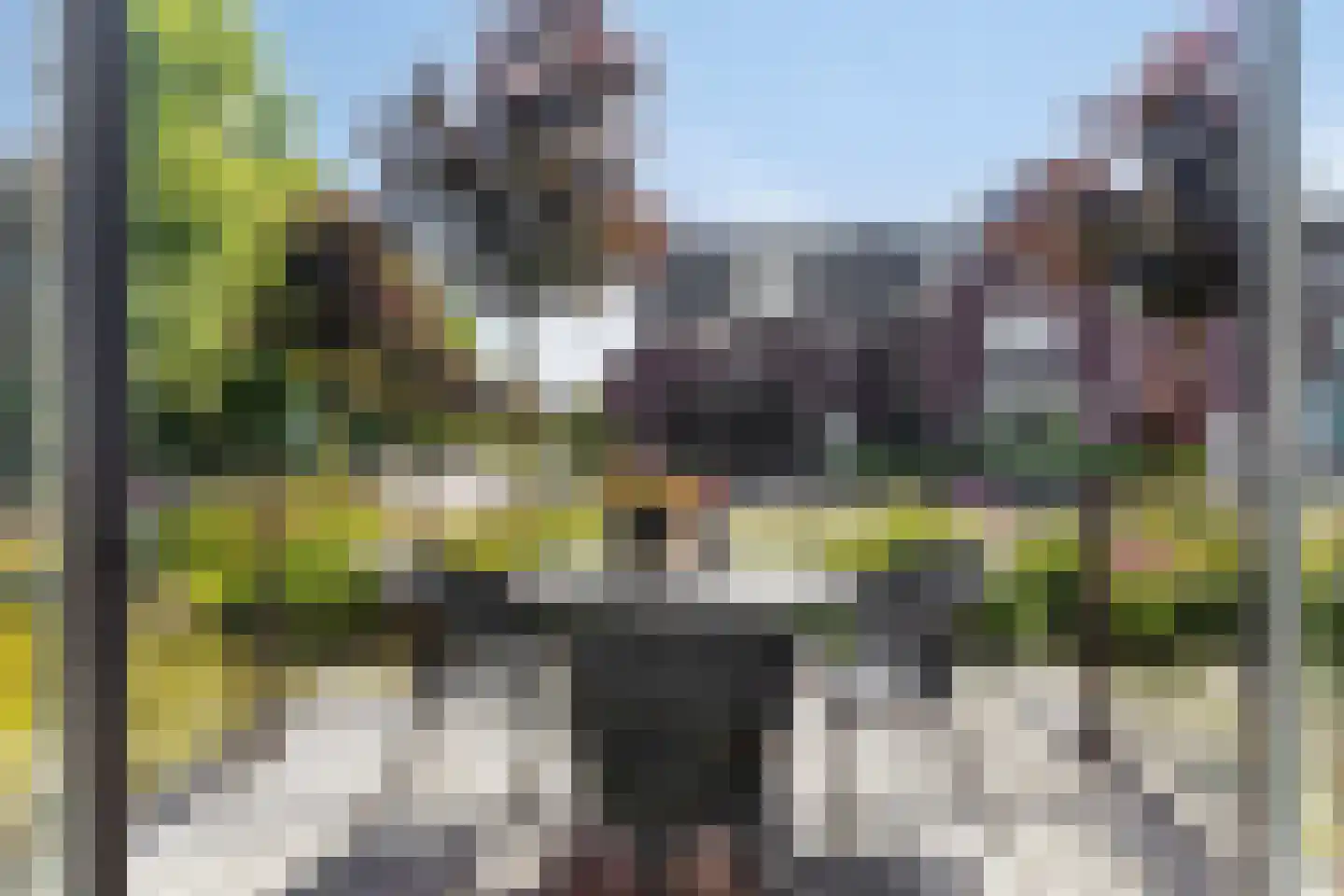 Dassenburcht 6 Scherpenzeel thumbnail 12