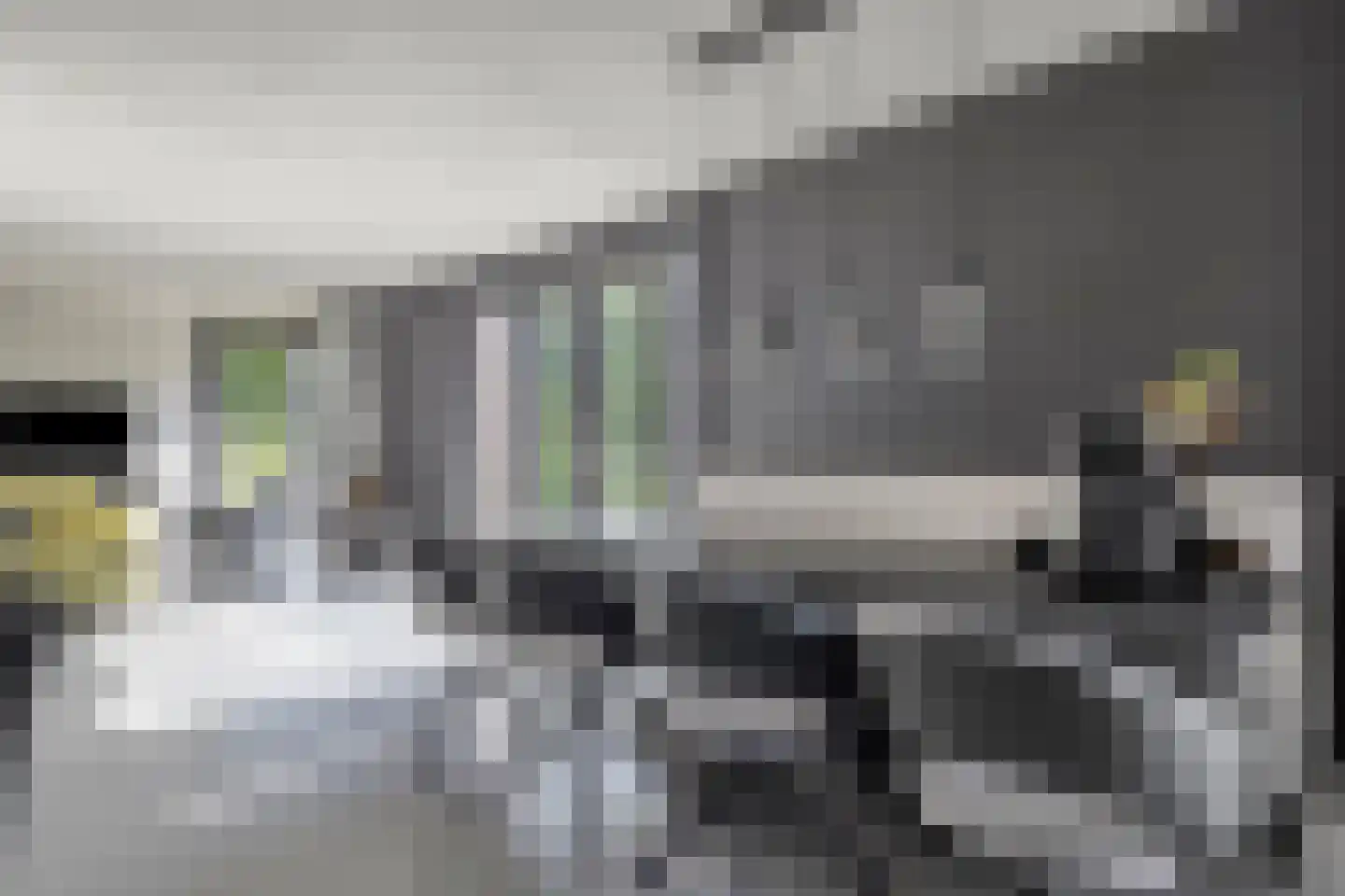 Dassenburcht 6 Scherpenzeel thumbnail 14
