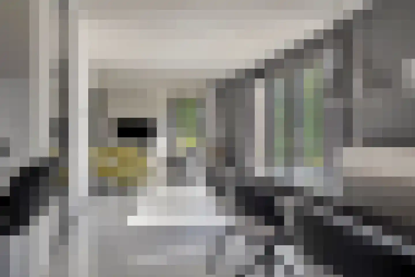Dassenburcht 6 Scherpenzeel thumbnail 15