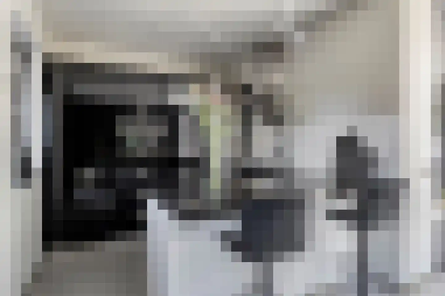 Dassenburcht 6 Scherpenzeel thumbnail 16