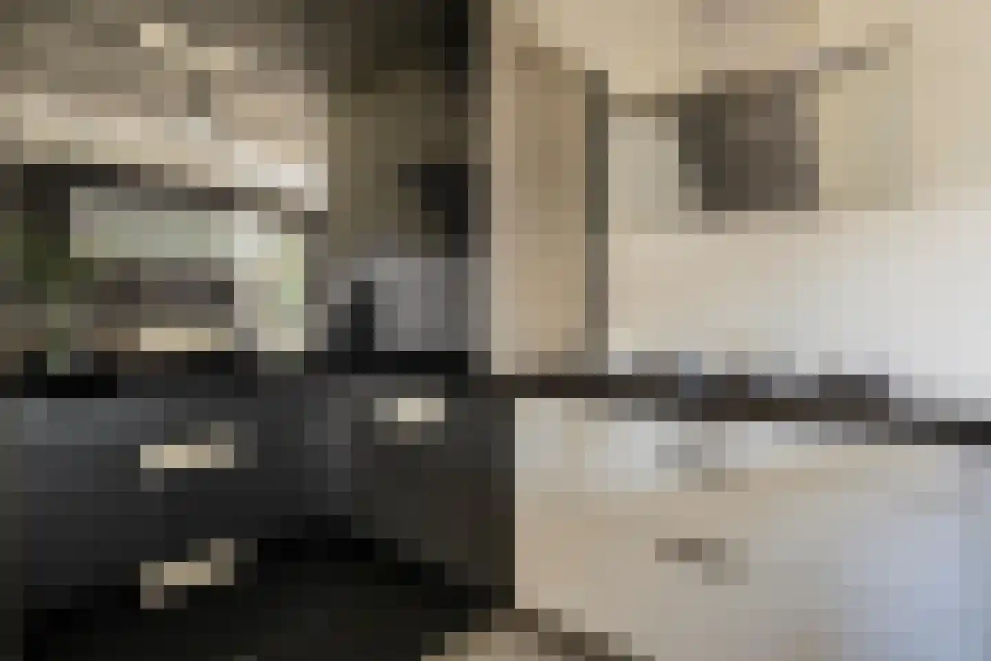 Dassenburcht 6 Scherpenzeel thumbnail 17