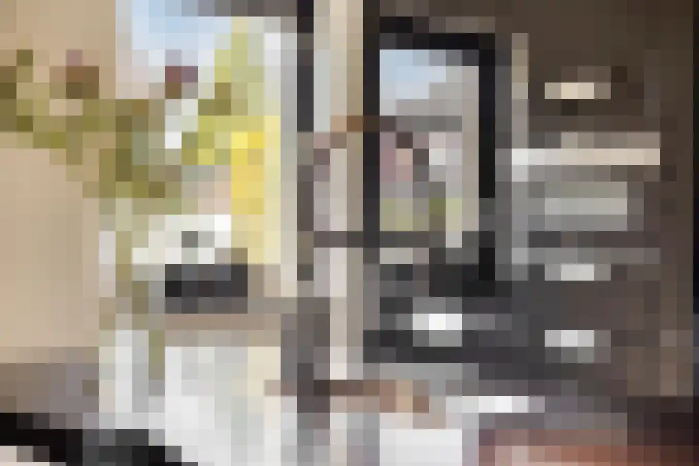 Dassenburcht 6 Scherpenzeel thumbnail 19