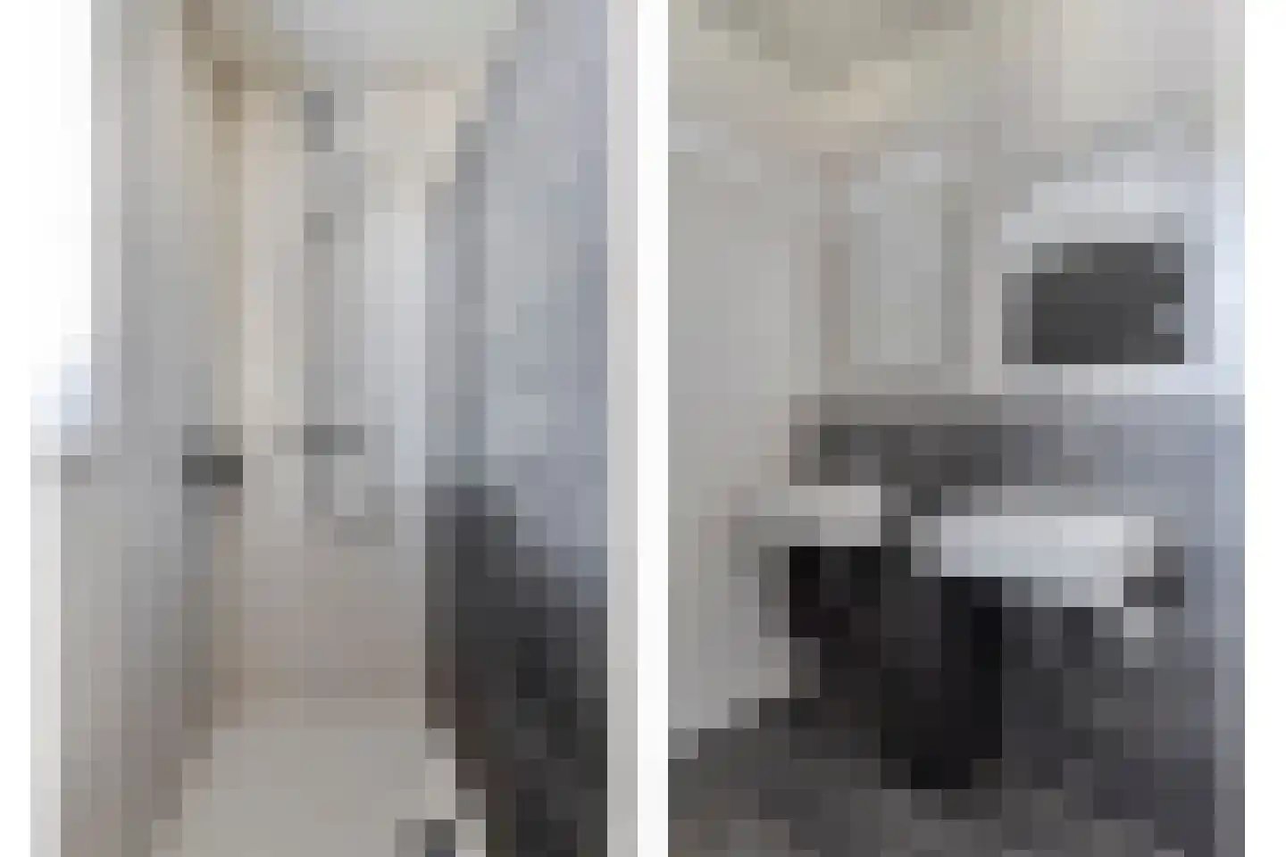 Dassenburcht 6 Scherpenzeel thumbnail 23