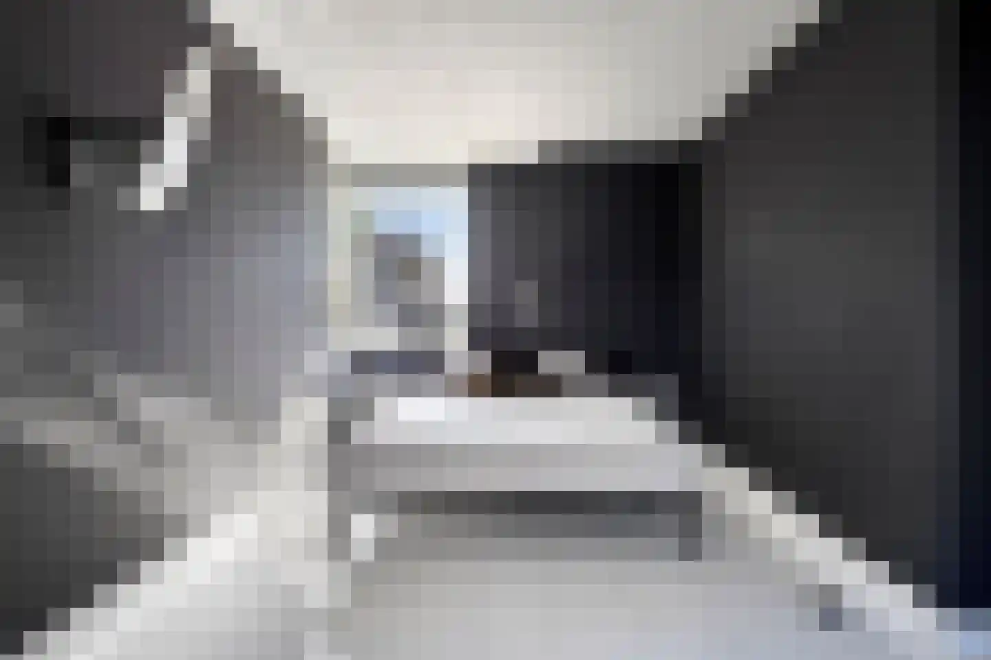 Dassenburcht 6 Scherpenzeel thumbnail 25