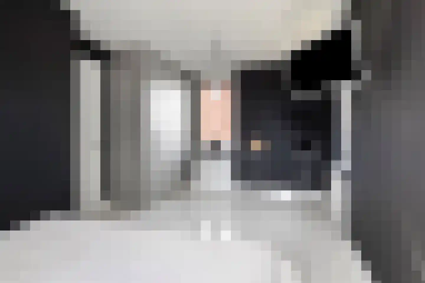 Dassenburcht 6 Scherpenzeel thumbnail 26