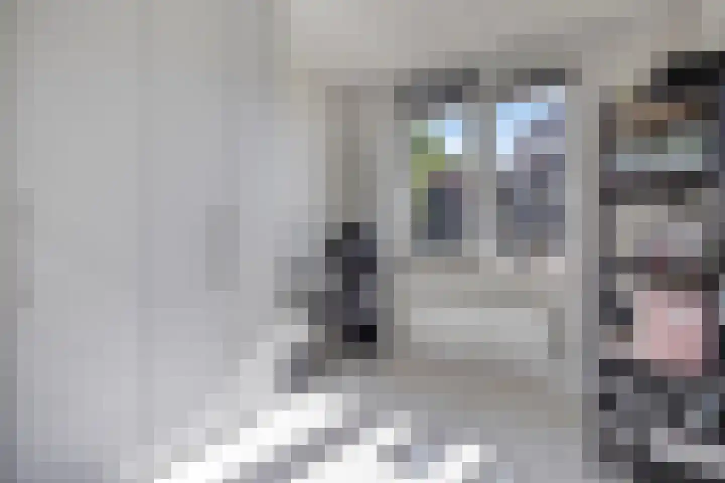 Dassenburcht 6 Scherpenzeel thumbnail 29
