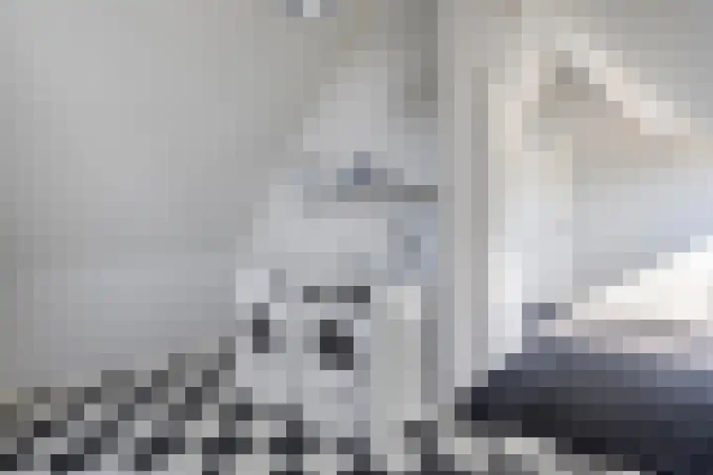 Dassenburcht 6 Scherpenzeel thumbnail 35