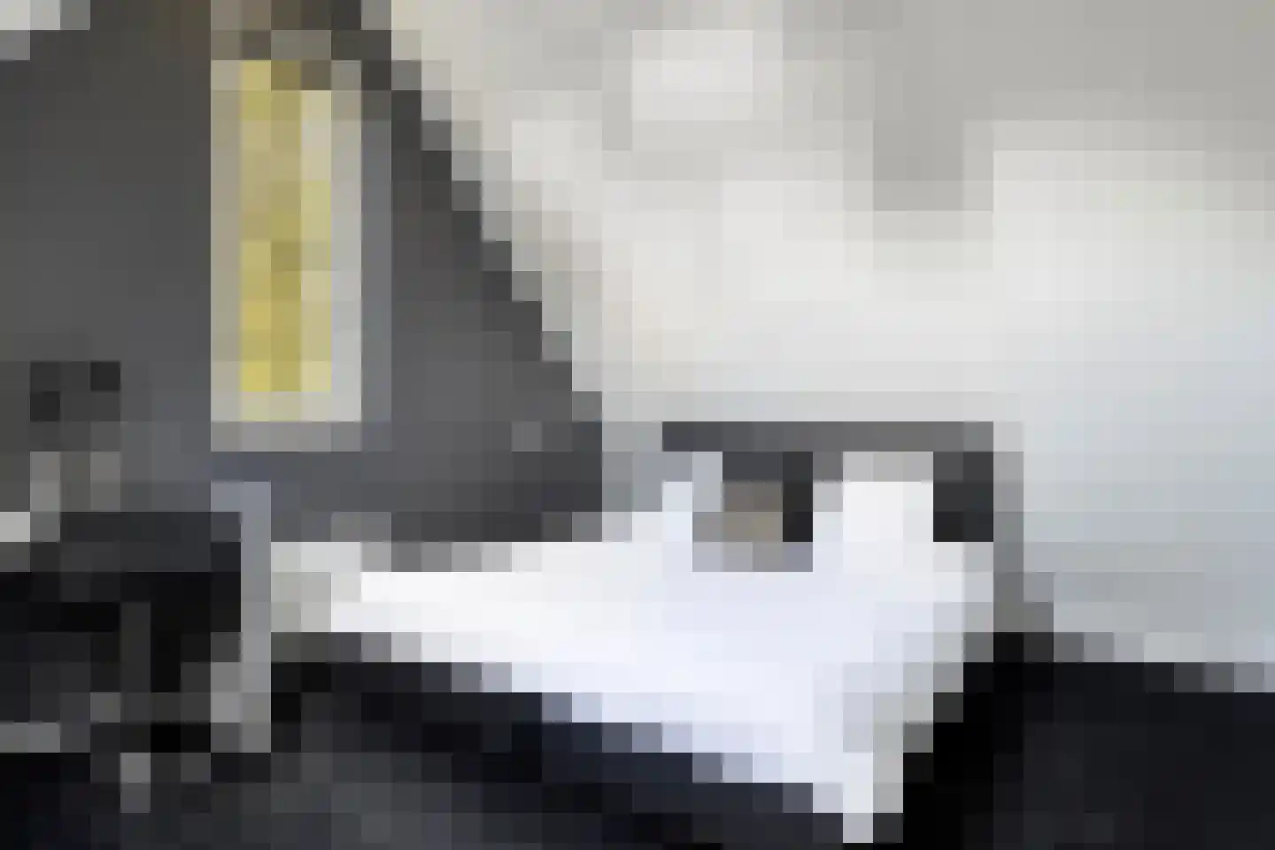 Dassenburcht 6 Scherpenzeel thumbnail 36