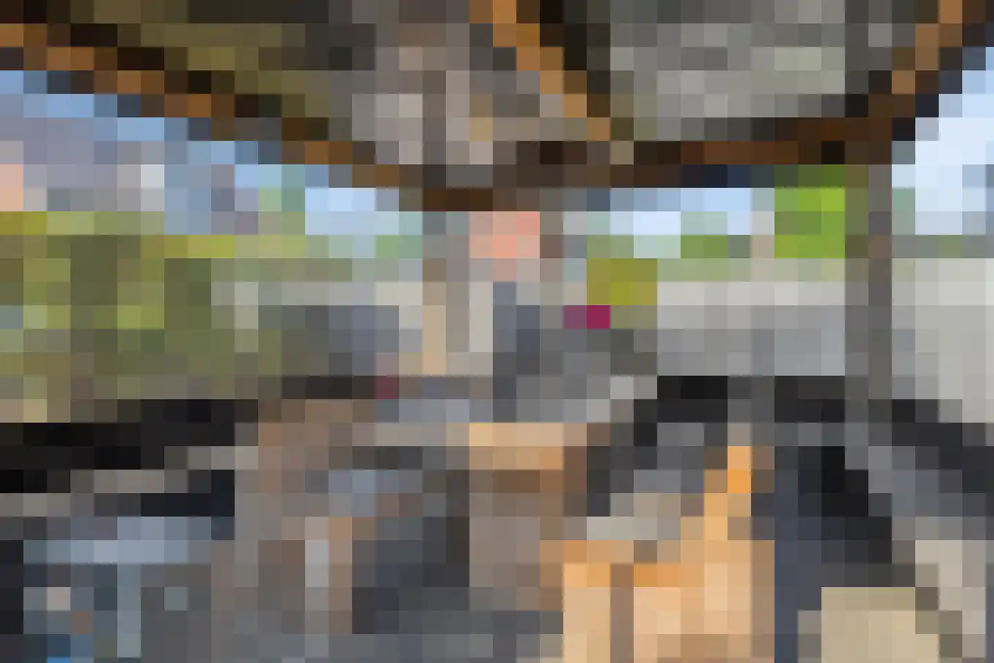 Dassenburcht 6 Scherpenzeel thumbnail 41